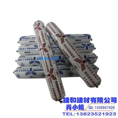 ԹṹSS621