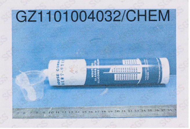 ڲ͸