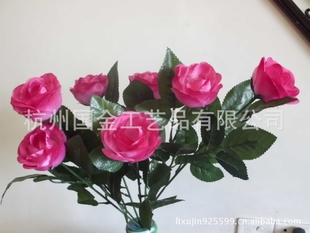湤õ廨,Ʒ,¹