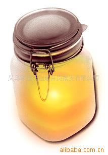 ƷSunJar