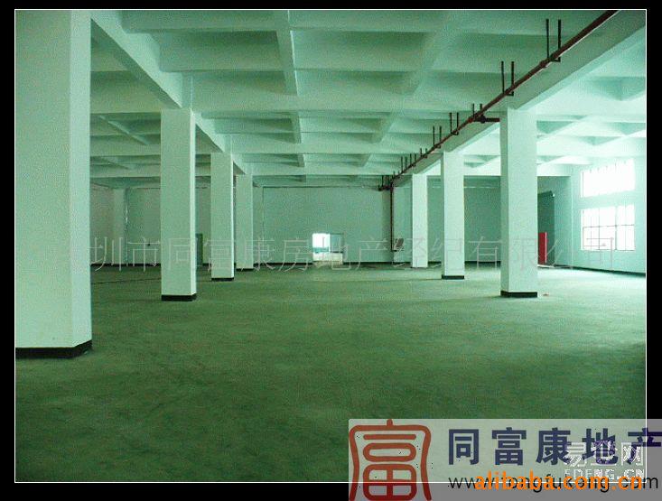 全新标准一楼2300平米公明厂房出租