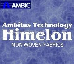 AMBIC޷ĲN9891E