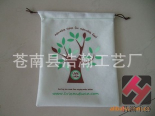 批发新款无纺布淋膜袋(图)
