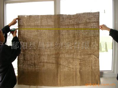 Ƭ鲼鲼鲼