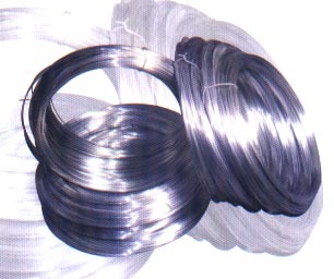 304˿302ֻ