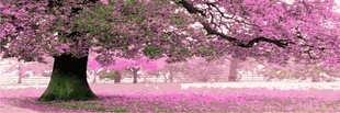 װͻűڹҳֱһĵط70*210