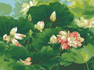 Сͻ³ʢĺɻ40x50cm