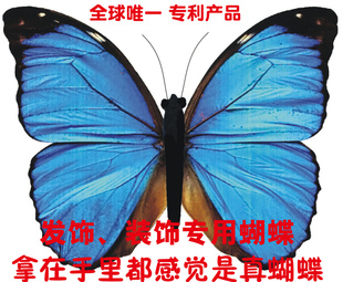 Ʒǽպоһ