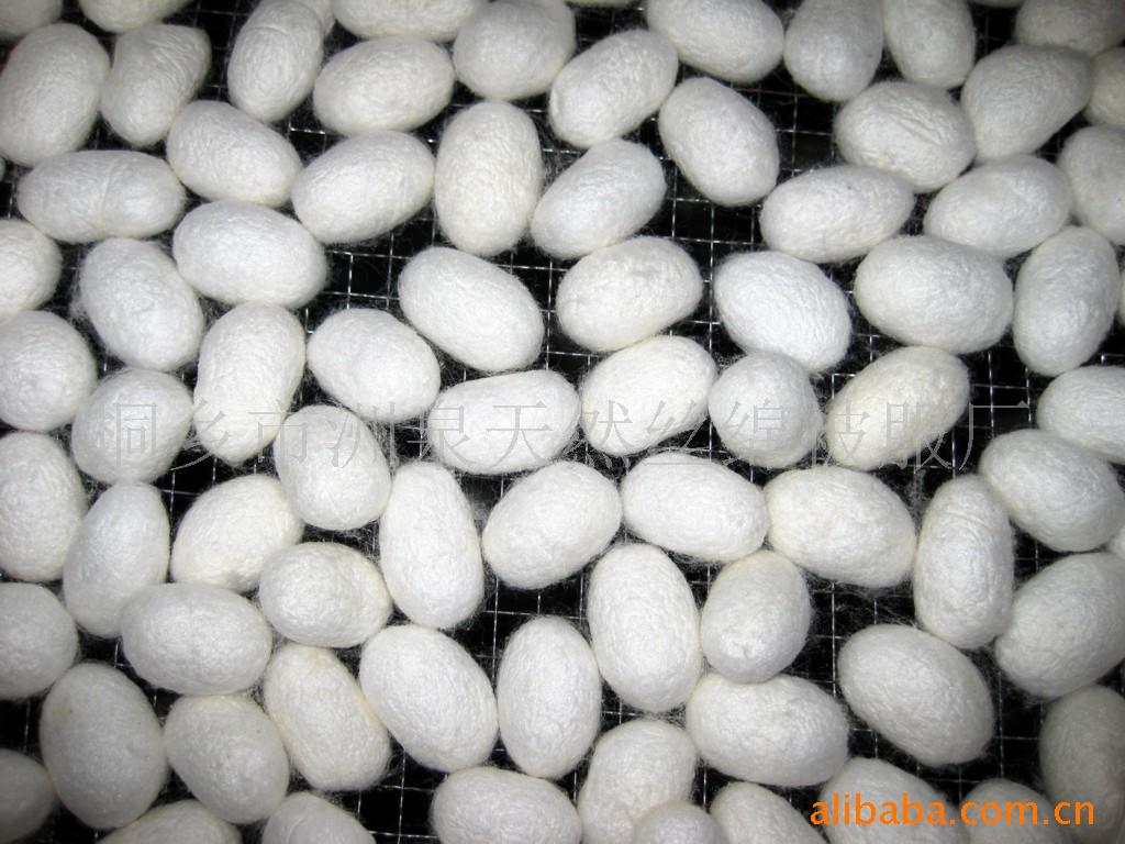 ྻϼ룬ݼ룬ڼ