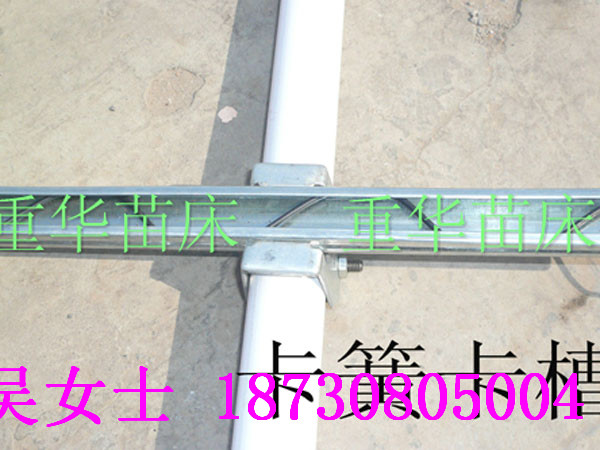 β/ҿ/ѹĤ