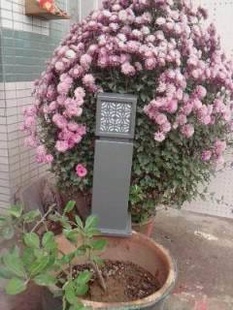 ۲ֲƺƣ150*150*600