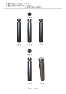 lFY-061ƺ201230229728.3