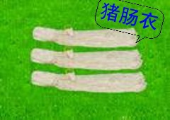 㳦ʮ·£ֻۣ