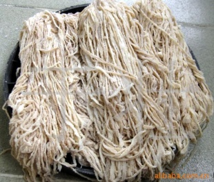 ݸȹ
