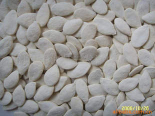 ڼѩ׹ѩףȱ