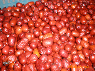 ؼ۳۶½2011