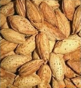 ӶĿ