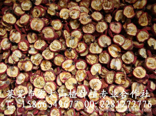 2011»ֱкɽ髸/кɽ髸