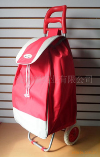 BigshoppingtrolleyӴﳵ