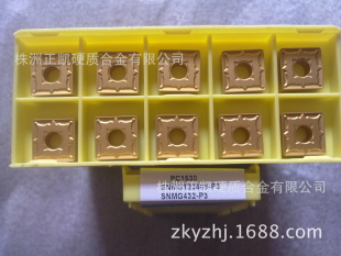 SNMG120408-P3Ƭؾ