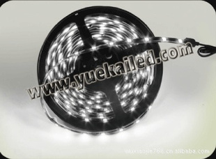 5M150SMD5050