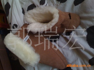 ṩѩѥӹŮѥӹӹUGG