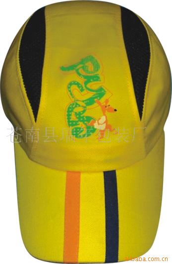 广告帽.棒球帽.运动帽.旅游帽.各种帽子