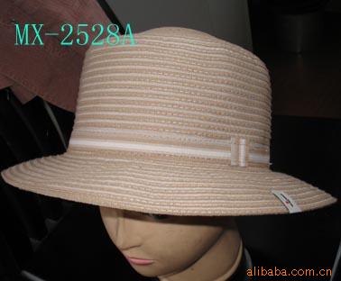̫ñMX2528A