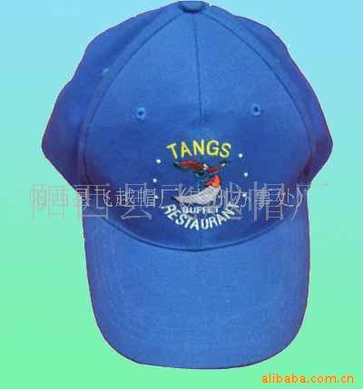 帽子厂网仔绣花走边帽.圆顶帽.棒球帽.帽