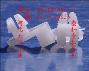 Ҹֻ֧