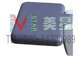 Ǵ