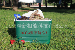 -60~10Դƶ///22L)
