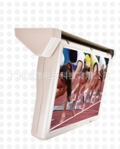 15硢17硢19綯תʾԶתʾ19