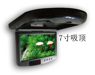 7ʾ