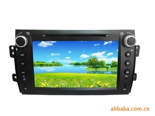 ľ8DVD,GPS