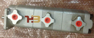 HYDROMAXºֱHGP-222A-F2-2-2R