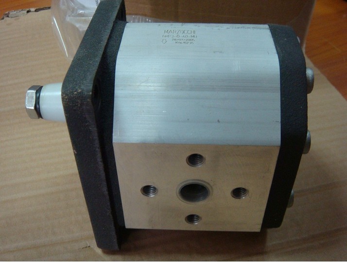 MARZOCCHIֱALP1A-D-5-FG