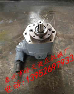 厂家批发摆线齿轮油泵BB-B16Y,BB-B20Y系列齿轮油泵转子泵