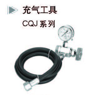 CQJ߹߽߳ڹ