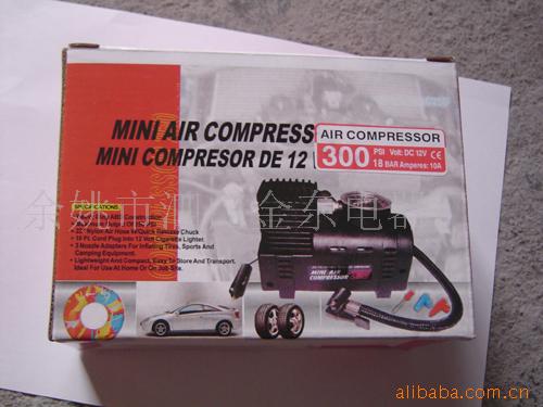 ó300PSI