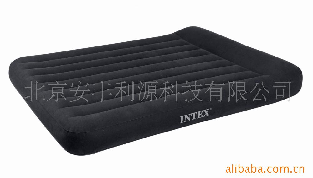 INTEX66769