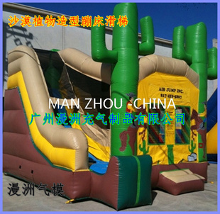 ݶͯĴɳĮֲ