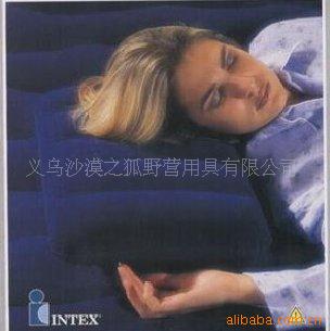 INTEXͷ