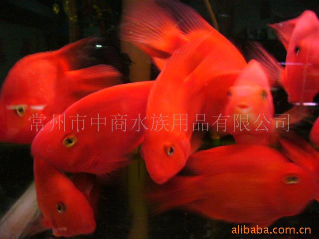 Ѫģ㣬ˮ䣬쾰ɽɳʯ(ͼ)