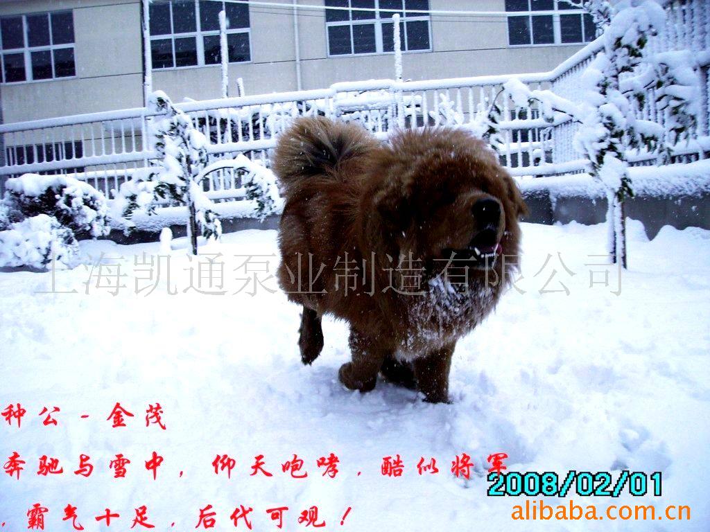ϺᡢᡢС