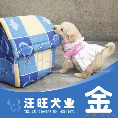 ȨëȮѴJ66