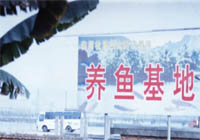 ֳձ