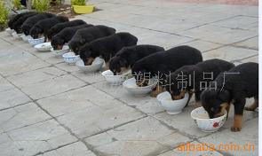 Ȯ