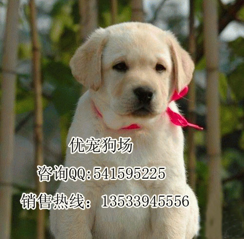 ͼƬ۸Ǯ