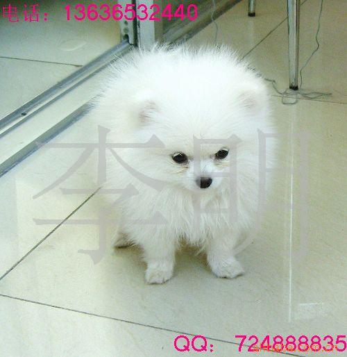 ﹷȮ